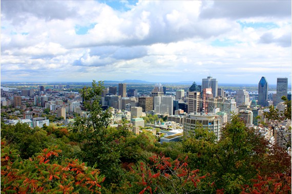 Montreal, viewed from Mount Royal